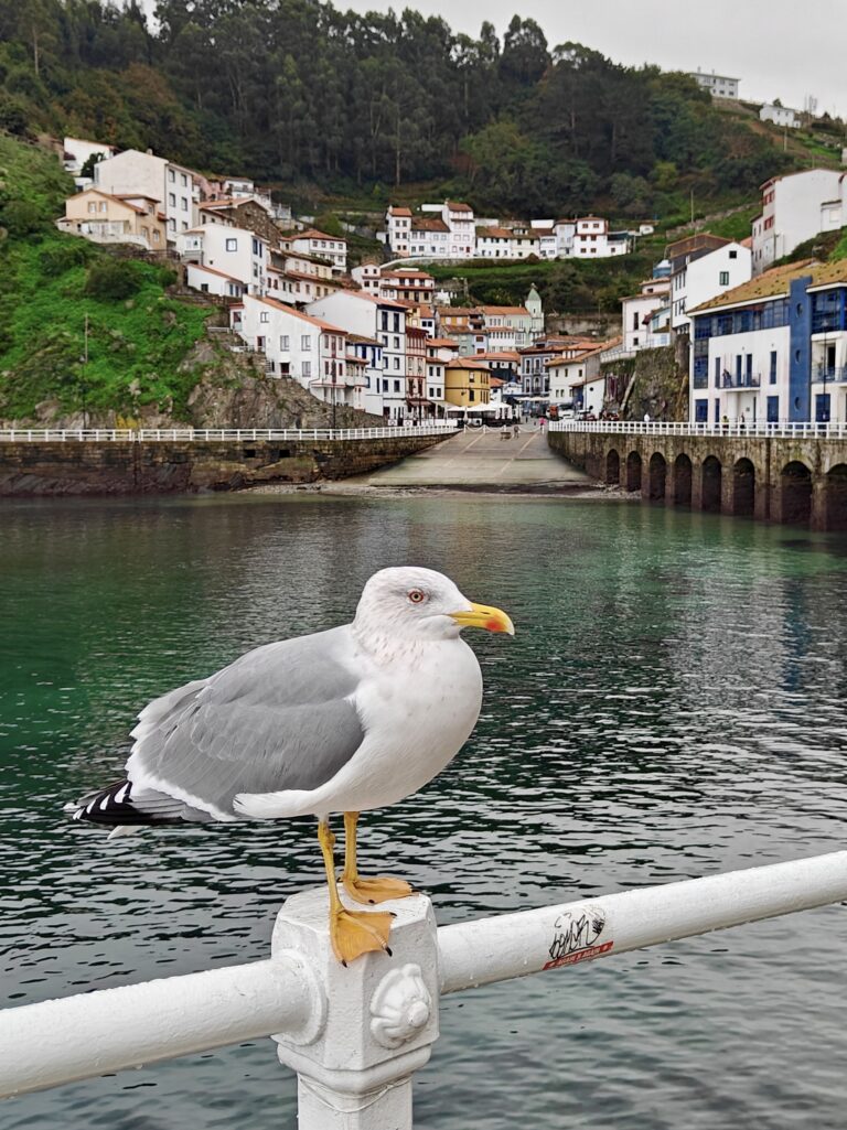 Descubre la ruta de los miradores de la villa de Cudillero