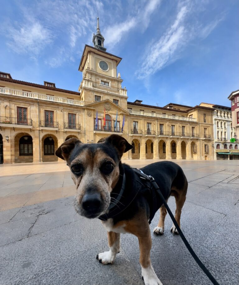 Asturias Petfriendly